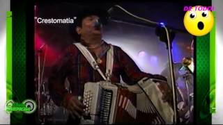 MINGO SALDIVAR - LA MINGOMANIA