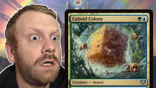 Why is Cuboid Colony so INCREMENTAL?
