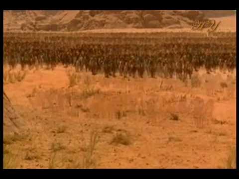 Hicretin ardından gelen fetih