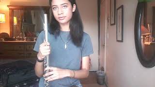 Dusk Till Dawn - ZAYN ft. Sia (Flute Cover)
