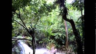 preview picture of video 'Catarata Bayoz Selva Central Chanchamayo'