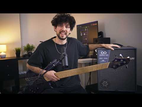 The Darkglass Electronics Infinity Combo 500