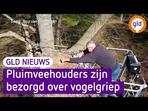 GLD Nieuws 19 april 2022