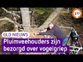 GLD Nieuws 19 april 2022