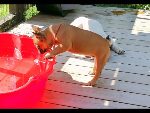 август 2020, на прогулке, на стадионе.