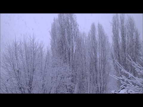 neve a Bresso 11-2-13
