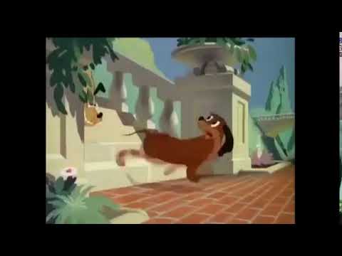 5 HORAS DE CLASSICOS DA DISNEY DESENHOS DE MICKEY , PATO DONALD , TICO E TECO , PLUTOS ,