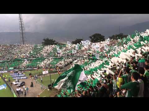 "Los Del Sur! Porque ahí un lugar en mi corazón" Barra: Los del Sur • Club: Atlético Nacional