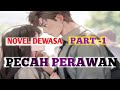Novel Dewasa PECAH PERAWAN PART 1