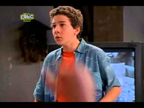 Even Stevens Beans Electric Fence