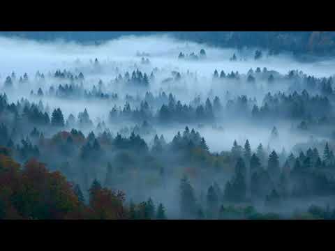 Lo Mejor De Repulsive - Música Drone, Dark Y De Horror