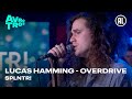 Lucas Hamming - Overdrive | SPLNTR!
