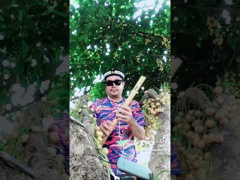 Scarborough fair-Quenacho-cover