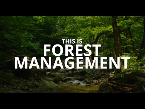 This is Forest Management.