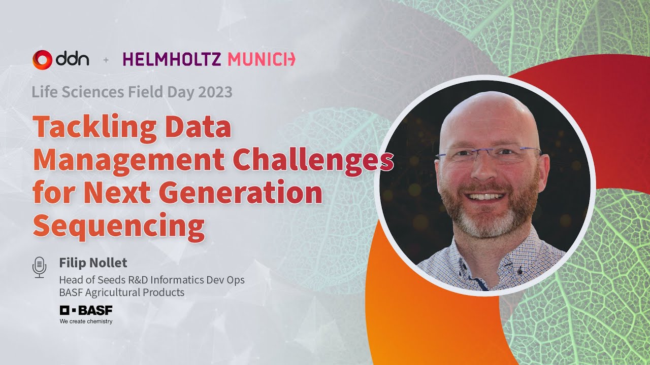 YouTube video preview