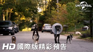 【復仇狗聯盟】首支預告 - 今年暑假 猛犬出閘 前往戲院見