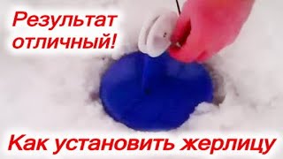 Как правильно ставить жерлицы зимой