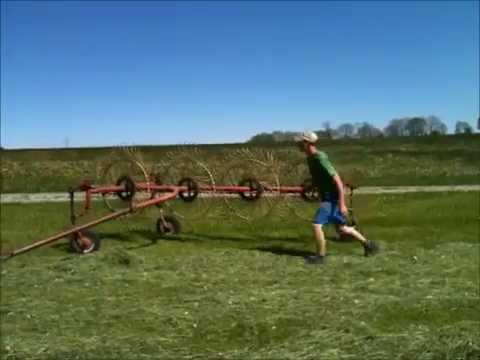 Heuernte mit Oldtimer Maschinen