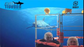 DIA 3 Expo Tiburon169