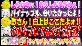 久しぶりに感動の再会を果たすも３秒でケンカになるフブちゃんとみんな大好き白上のパイナップル【不知火フレア/白上フブキ/角巻わため/姫森ルーナ/尾丸ポルカ/ホロライブ切り抜き】