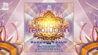 Bizzare Tribe &amp; Spade - Evolution 2 Revolution (Mystery Sense Remix)