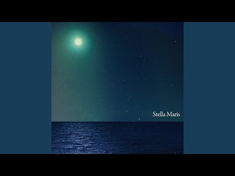 ドワーフ ライラック 'パリビン' 植物