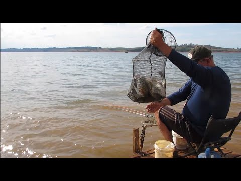 PESCA DE TILÁPIA NO PORTO DA HARMONIA EM ALFENAS