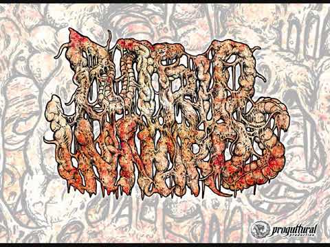 download lagu mp3 mp4 Human Mastication 2 Full Length 1 EP, download mp3 Human Mastication 2 Full Length 1 EP free downloadn, video klip Human Mastication 2 Full Length 1 EP