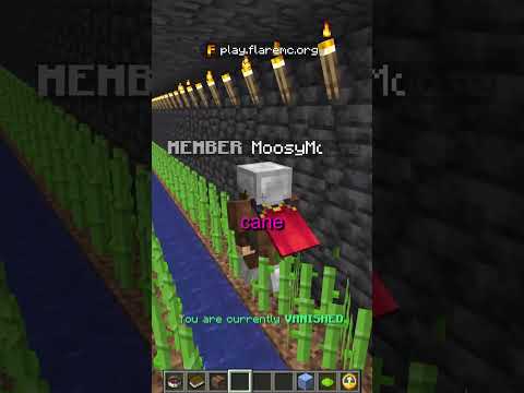 I trolled the POOREST player on my Minecraft Server...