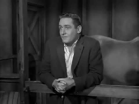 Remembering The Cast From s1 e1 of Mister Ed 1961