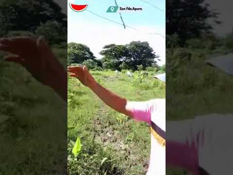 En Campo Alegre III de San Fernando de Apure están "con los pelos de punta"