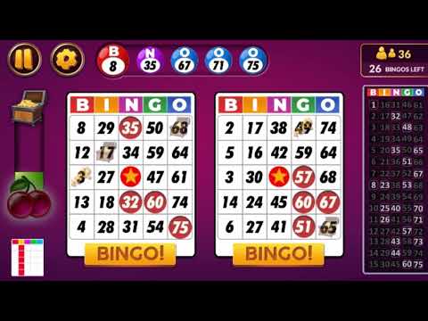 Bingo - Offline Board Game video