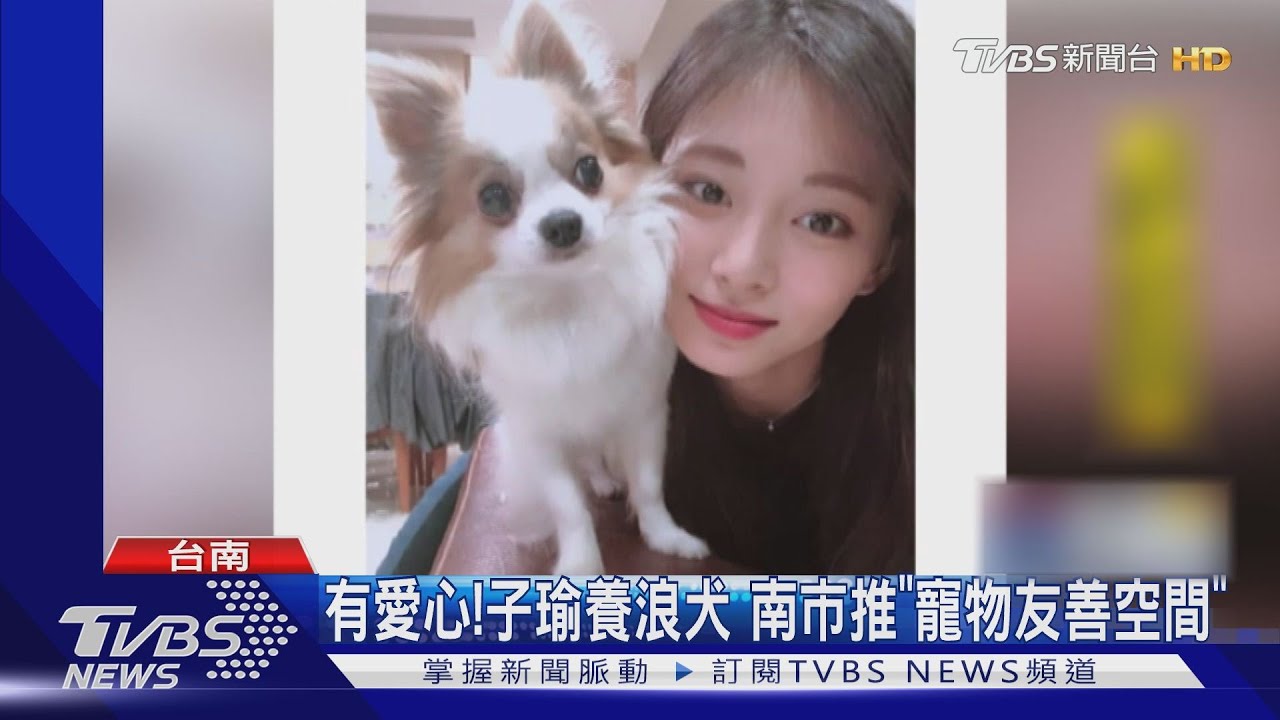 周子瑜「打完2劑疫苗」媽媽曝現況 領養2狗狗中秋不返台