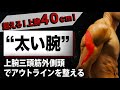 【目指せ上腕40cm超え!Part3】腕トレ。ダンベル・テイトプレス。ダンベルで太い腕を作る。三頭筋外側頭をデカくしてアウトラインを強化する。腕を太くし力強い身体を作る!腕を太くする。