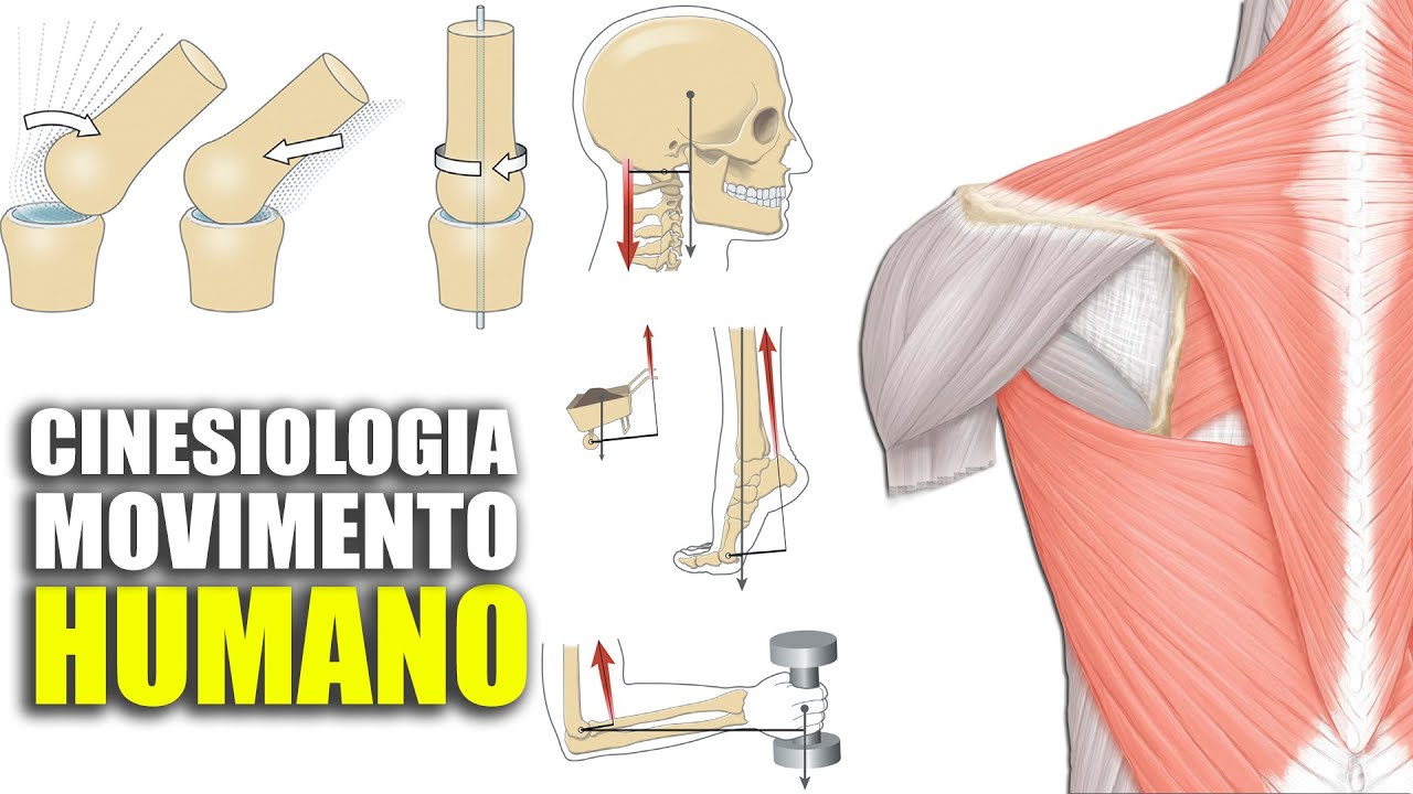 MOVIMENTOS DO CORPO HUMANO - CINESIOLOGIA E BIOMECÂNICA