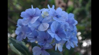 Ormoni sessuali: le differenze tra uomo e donna