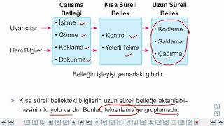 Eğitim Vadisi AYT Felsefe 5.Föy Öğrenme, Düşünme ve Bellek 1 Konu Anlatım Videoları
