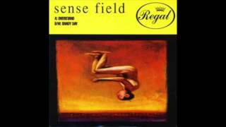 Sense Field Untitled Demo