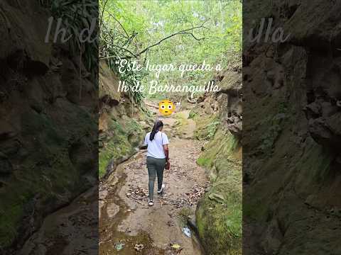 “El secreto mejor guardado del Atlántico 🌿”