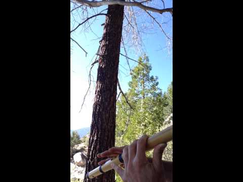 Jhinjoti - Bamboo Flute - Lake Tahoe - Kerry Kriger