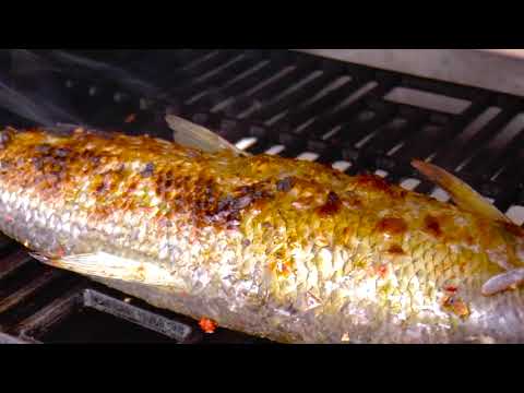 Grilling freshwater fish in Ottos O F B  with a selfmade rub