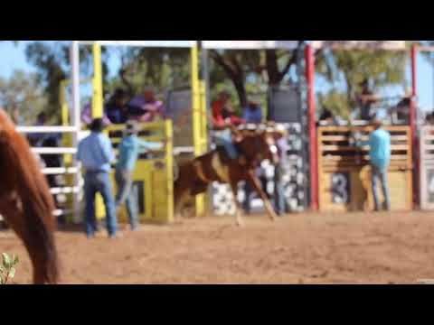 download lagu mp3 mp4 Normanton Rodeo 2016, download lagu Normanton Rodeo 2016 gratis, unduh video klip Normanton Rodeo 2016