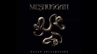 Meshuggah - Imprint of the Un Saved (﴾Ƨlow﴿)
