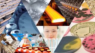 Webinar Wednesday  - Particle Size Analysis - 10/02/19