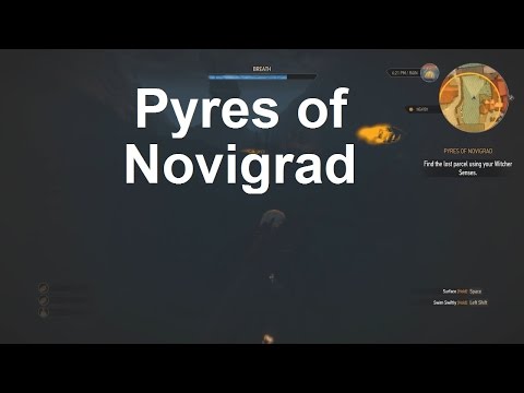 pyres of novigrad rat traps download free pyres of novigrad rat traps download free