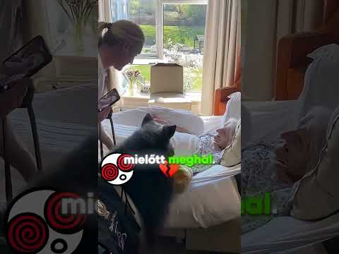 UTOLSÓ Találkozás A Pónival! 💔