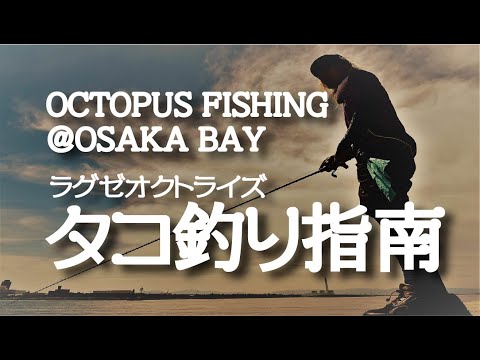 【オクトライズ】投げればもっと釣れる!!前西喜弘の大阪湾岸タコ釣り指南