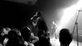 Nerve Endings by The Color Morale