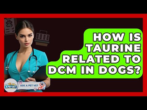How Is Taurine Related To DCM In Dogs? - Ask A Pet Vet