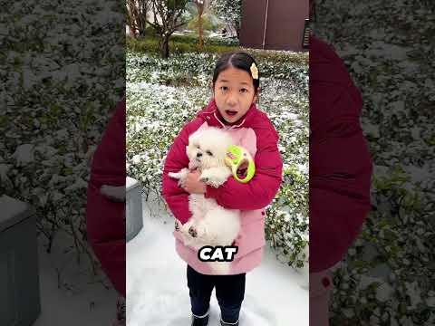 this little girl calls her papa and says Papa come on let’s go outside and see the snow ❄️😲